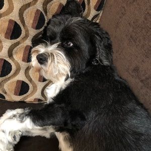 Meet your Posher, Nia